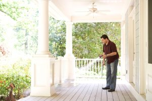 Effective Pest Control: Everything you need to know for your business or home.